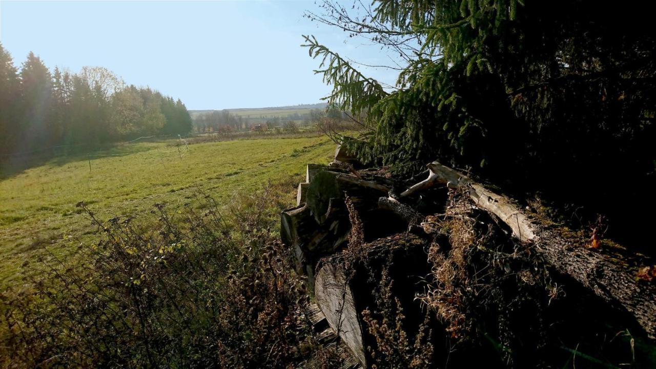 Landhaus Eva-Maria Villa Elbingerode  Buitenkant foto